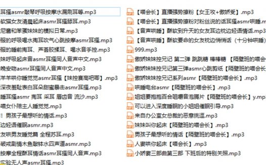 B站隔壁班的喵会长ASMR合集,中文音声音频哄睡系列助眠