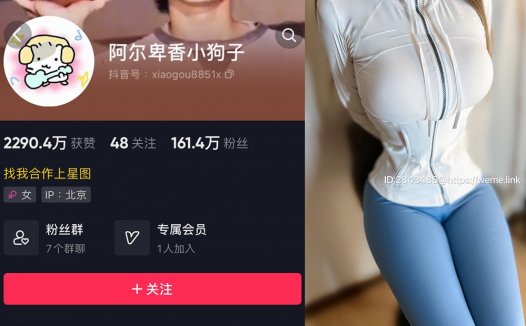 抖音阿尔卑香小狗子微密weme圈视频照片汇总