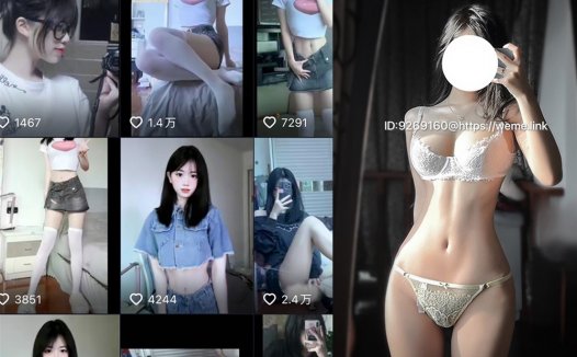 抖音颉颉与猫咪weme照片资源，色彩和情感的交织