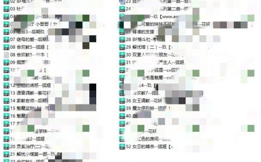阿木木工作室第一季和第二季asmr定制音声60部
