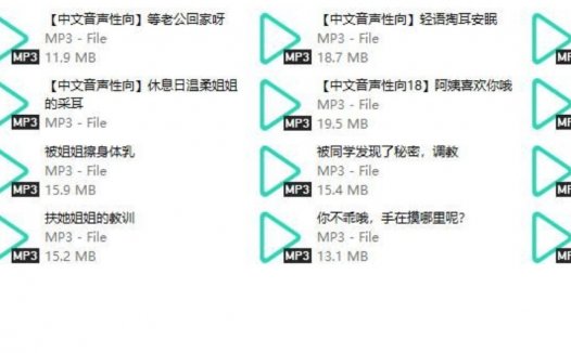 b站痴痴的小瑶儿中文音声资源汇总