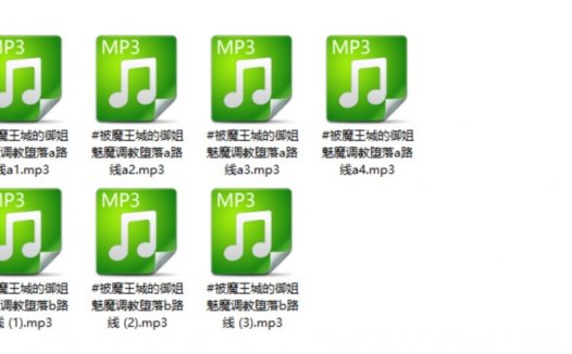 呢喃音声社驿站定制社保，cv阳阳和菠萝课堂音频资源