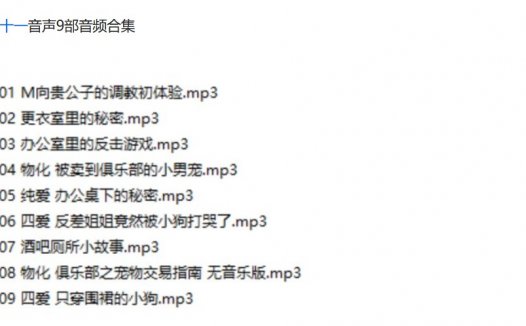 b站在下月十一中文音声助眠音频资源下载